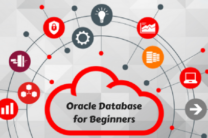 Software Testing Training in Chennai | Testing Training in Chennai | FITA