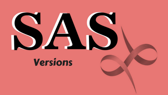 SAS Training in Chennai