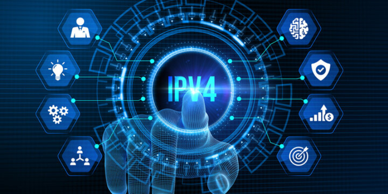 What is the Role of the IPv4 Address?